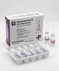 Testosterone E 300mg – PharmaQo Labs [Amps]